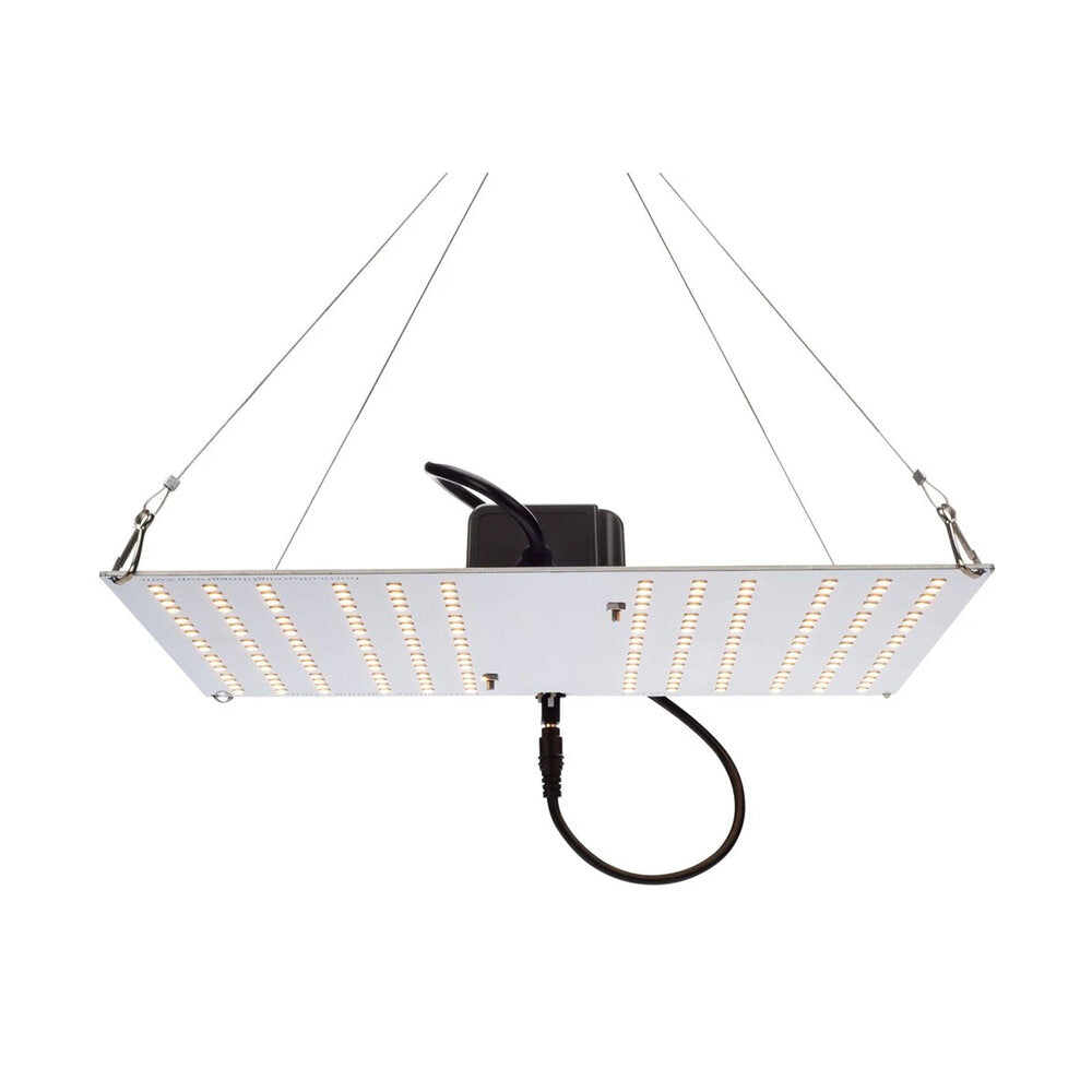 HLG 100 V2 The Grow Depot Grow Lights Canada
