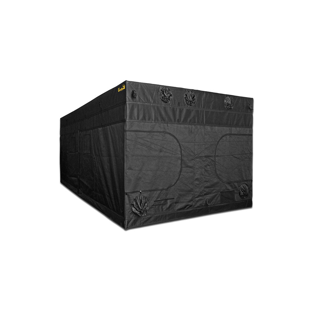 gorilla grow tent 10x10 Gorilla Grow Tent 10 x 20