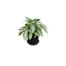 Gro Pro NX Level Pot Elevators