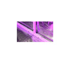 Gorilla Grow Tent 10' x 10'