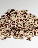 Bush Bean Jacob's Cattle Bean