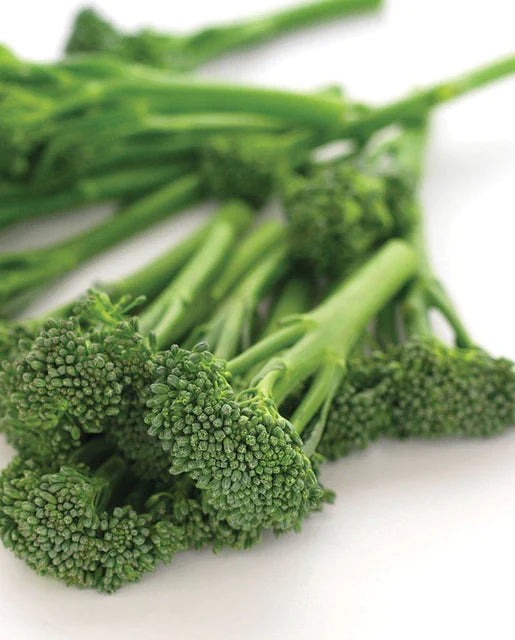 Aspabroc Broccolini Broccoli