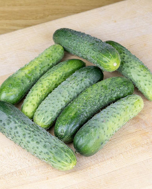 Cucumbers Artist gherkin(coated)
