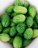Cucumbers cucamelon