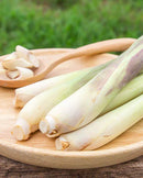 Lemongrass Cymbopogon citratus