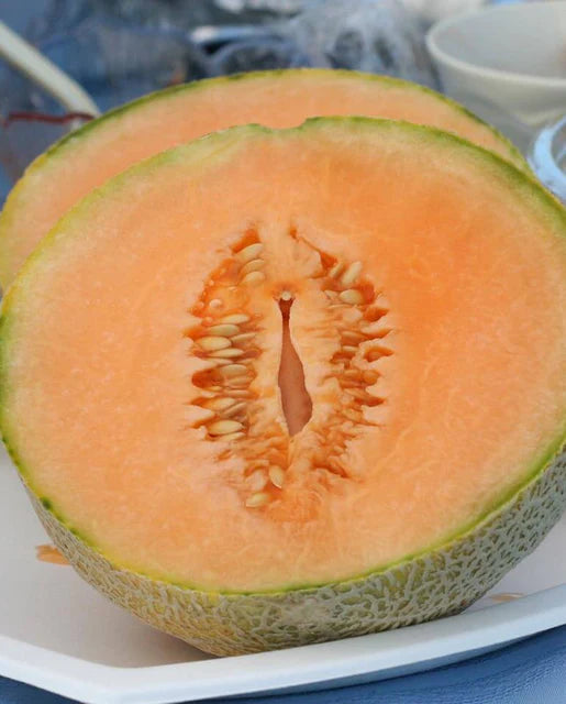 Melons Earlichamp