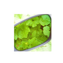 Method Seven Agent 939 FX Glasses