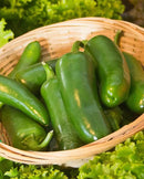 Peppers Jalapeno M