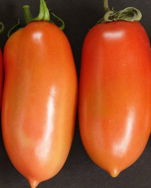La Roma Tomatoes